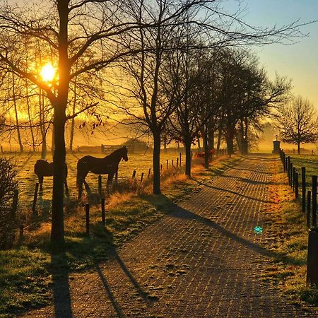 B&B Zandhuizen Экстерьер фото