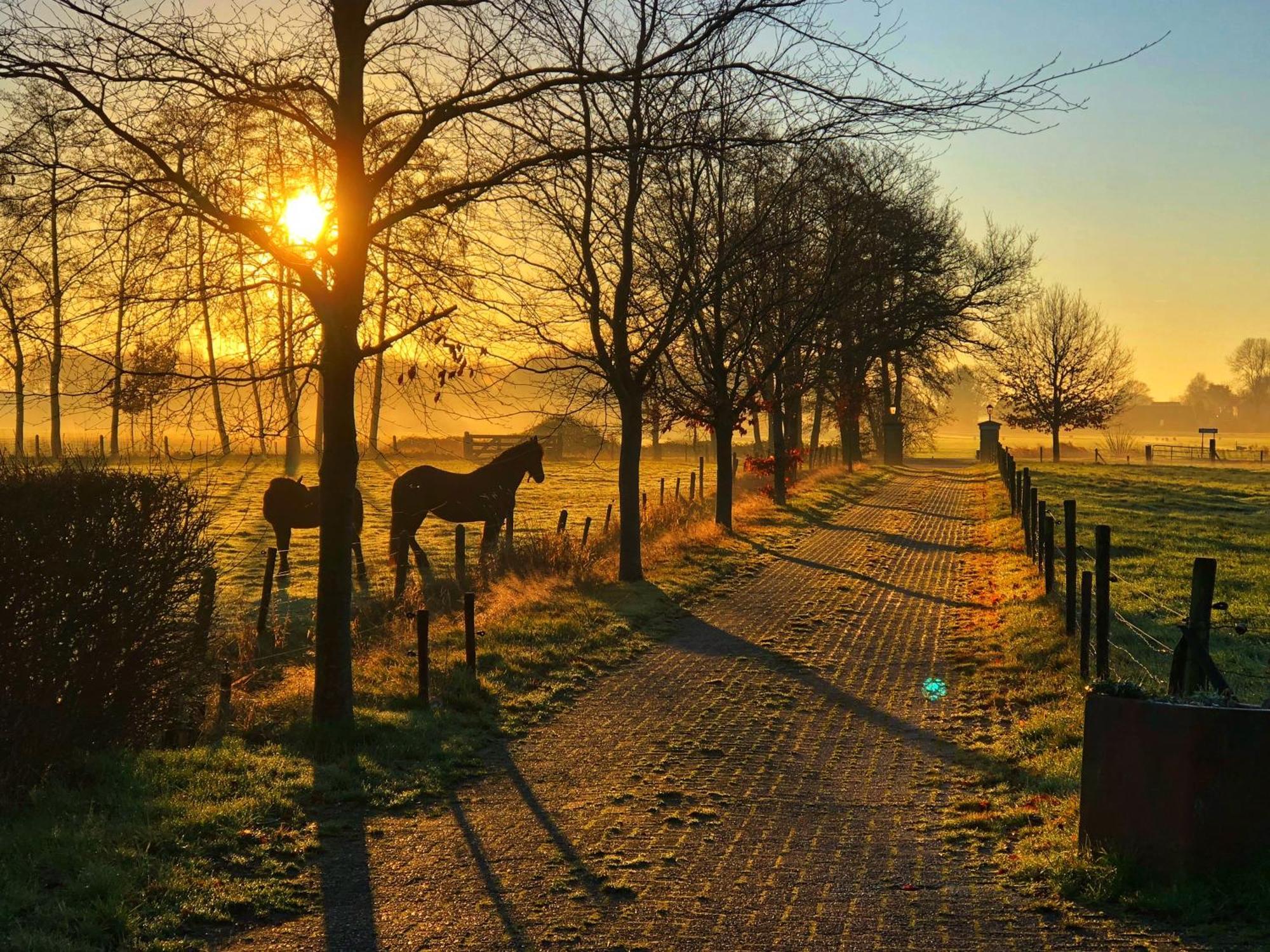 B&B Zandhuizen Экстерьер фото
