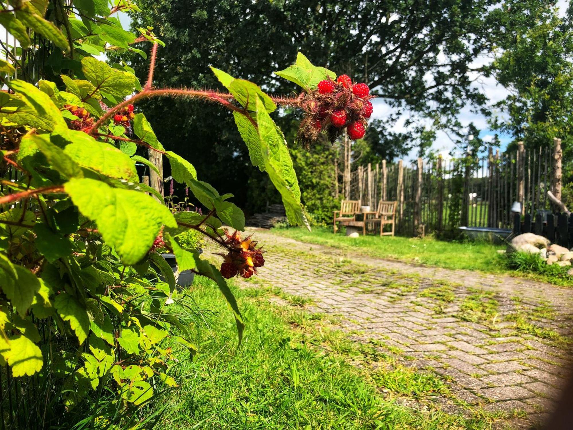 B&B Zandhuizen Экстерьер фото